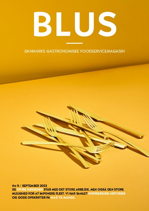 BLUS 9 Cover